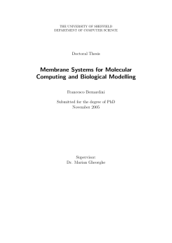 Membrane Systems for Molecular Computing and Biological Modelling
