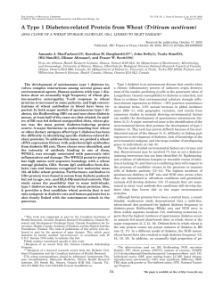 A Type 1 Diabetes-related Protein from Wheat (Triticum aestivum)