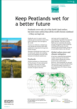 Keep Peatlands wet for a better future