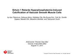 affects inorganic phosphate (Pi)&ndash;induced senescent phenotypic