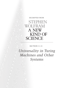 Universality in Turing Machines and Other Systems