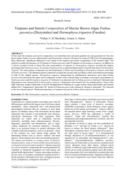 Terpenes and Sterols Composition of Marine Brown Algae Padina
