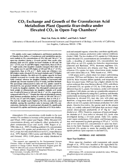 C02 Exchange and Growth of the Crassulacean Acid Metabolism