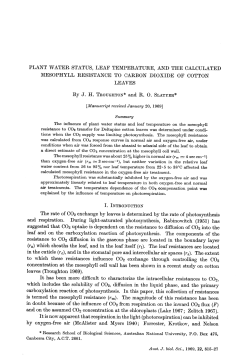 PLANT WATER STATUS, LEAF TEMPERATURE, AND THE