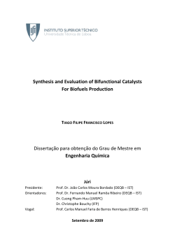 Synthesis and Evaluation of Bifunctional Catalysts For Biofuels