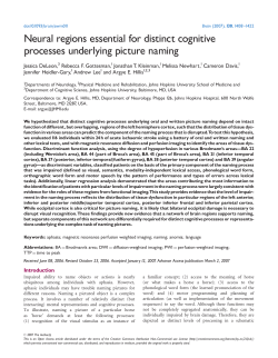 Neural regions essential for distinct cognitive processes underlying