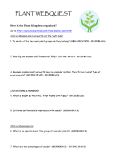 PLANT WEBQUEST