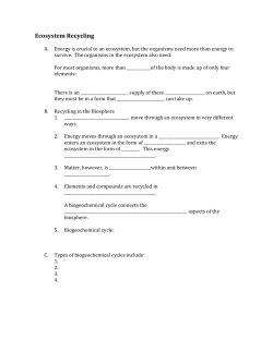 The Nitrogen Cycle - Worth County Schools