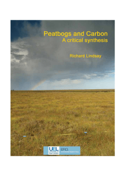 Peatbogs and carbon - a critical synthesis
