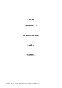 Datasheets 1.1 Bacteria