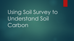 The Role of Forest Soils in Carbon Stewardship