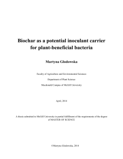 Biochar as a potential inoculant carrier for plant