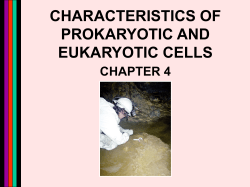 CHARACTERISTICS OF PROKARYOTIC AND EUKARYOTIC CELLS