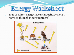 Photosynthesis