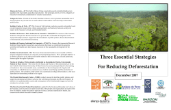 Three Essential Strategies For Reducing Deforestation