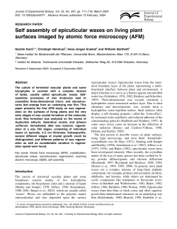 Self assembly of epicuticular waxes on living plant surfaces imaged