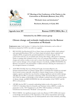 Draft Resolution X - The Ramsar Convention on Wetlands