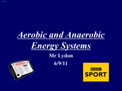 Aerobic energy systems ppt