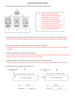 Study Guide Cell Homeostasis SB1d A B C If a cell is placed in a