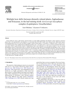 Multiple host shifts between distantly related plants, Juglandaceae