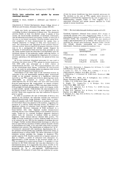 Ferric iron reduction and uptake by mouse duodenal mucosa