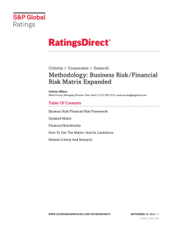 Business Risk/Financial Risk Matrix Expanded