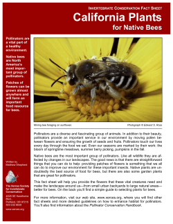 California Plants for Native Bees