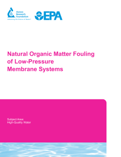 Natural Organic Matter Fouling of Low