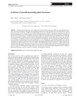 Evolution of growth-promoting plant hormones