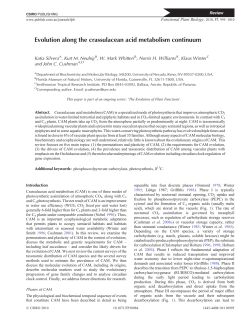 Evolution along the crassulacean acid