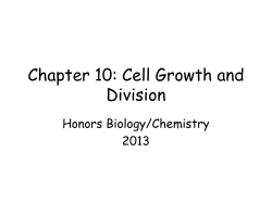 Chapter 10: Cell Growth and Division