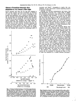 Absence of transient tritanopia after adaptation to very intense