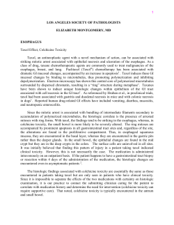 Gastrointestinal Tract Pathology - Los Angeles Society of Pathologists