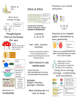 Biomolecules Foldable Stickers 2014