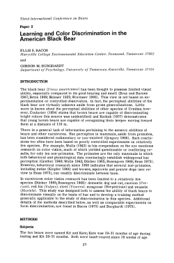 Learning and Color Discrimination in the American Black Bear