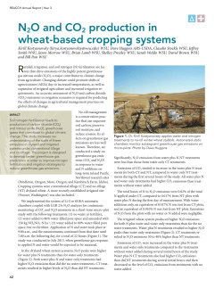 N2O and CO2 production in wheat-based cropping