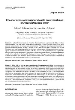 Effect of ozone and sulphur dioxide on mycorrhizae of Pinus