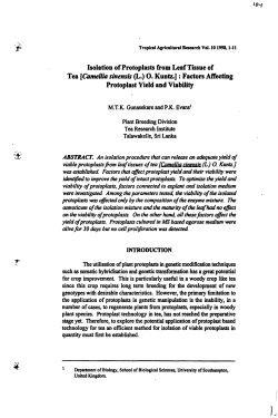 Isolation of Protoplasts from Leaf Tissue of Tea