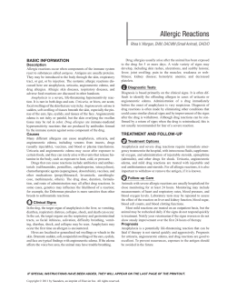 Allergic Reactions - Cooley Animal Clinic