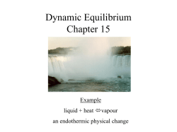 Dynamic Equilibrium