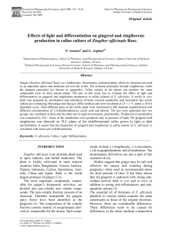 Effects of light and differentiation on gingerol and zingiberene