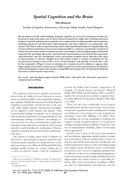 Spatial Cognition and the Brain - Spatial Cognition at Multiple Scales