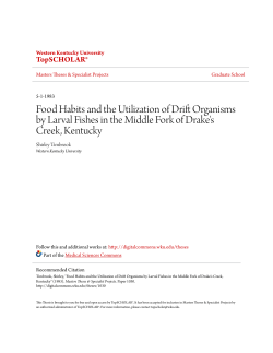 Food Habits and the Utilization of Drift Organisms