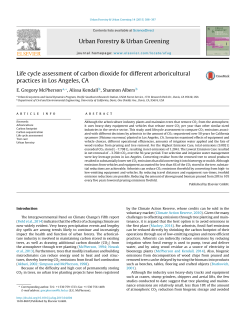 Life cycle assessment of carbon dioxide for different arboricultural