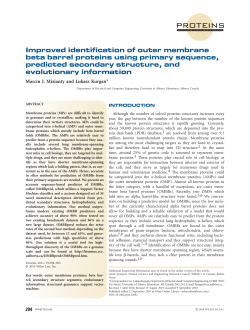 Improved identification of outer membrane beta barrel proteins using