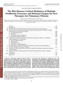 The Rho Kinases: Critical Mediators of Multiple Profibrotic
