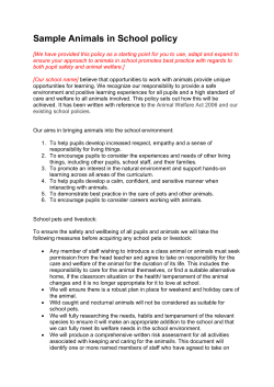 sample `animals in school`