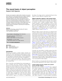 The neural basis of object perception