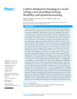Captive chimpanzee foraging in a social setting: a test of problem