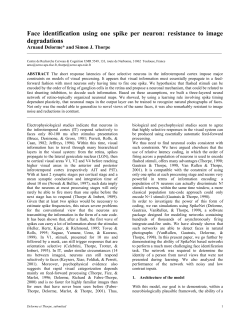 Face identification using one spike per neuron: resistance to image
